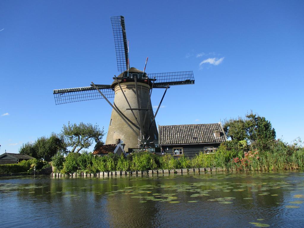 Delftse Hout